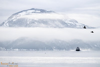Westamaranen på vei mot Sand