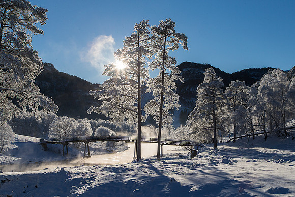 Lågabrua ved Ritland