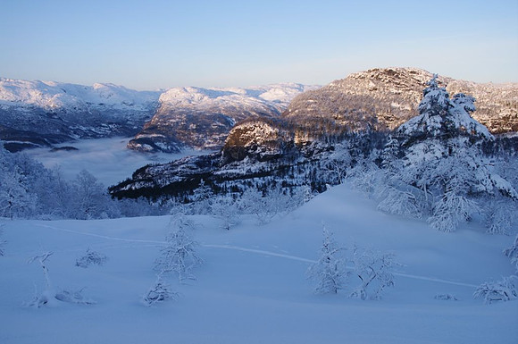 Frå Lauvåsen