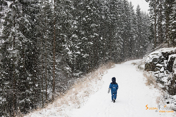 Sebastian på tur i snøværet
