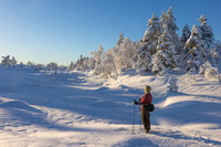 Skitur i vinterlandskap