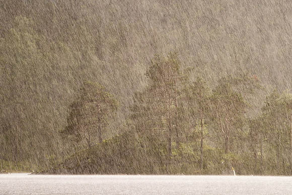 Regn